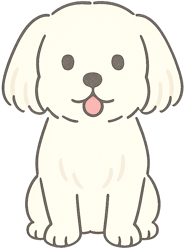 マルチーズ